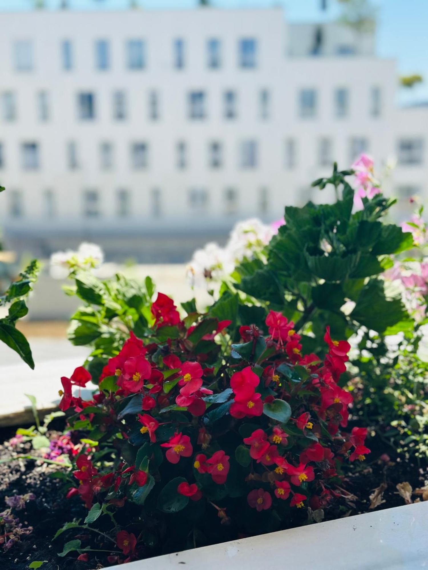 Family Apartment Тирана Екстериор снимка