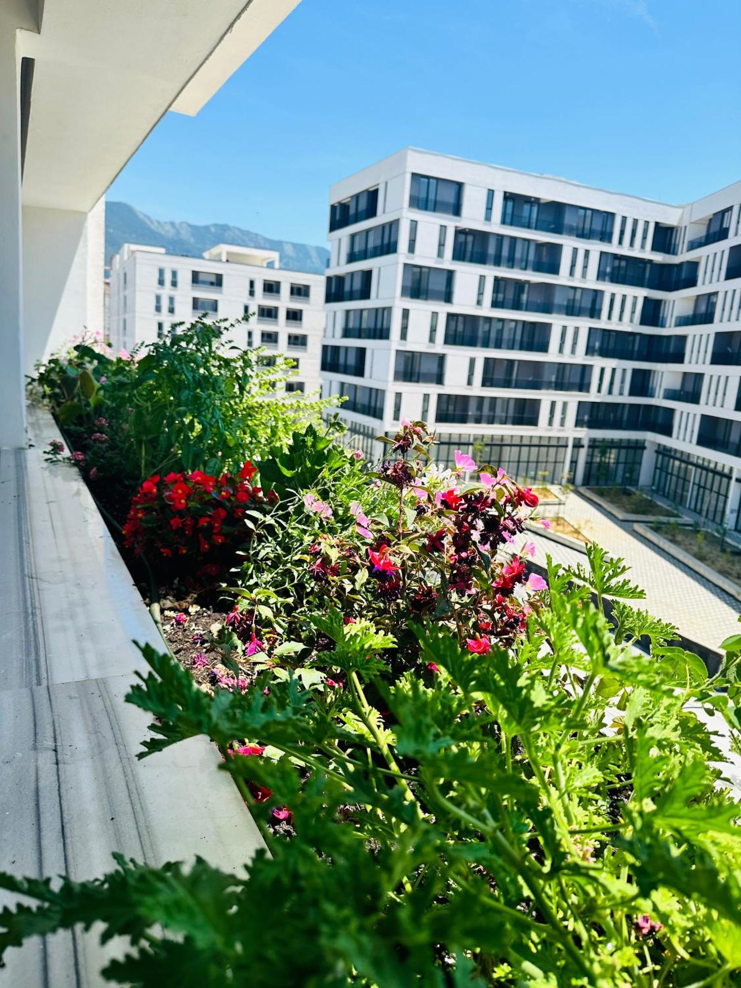 Family Apartment Тирана Екстериор снимка